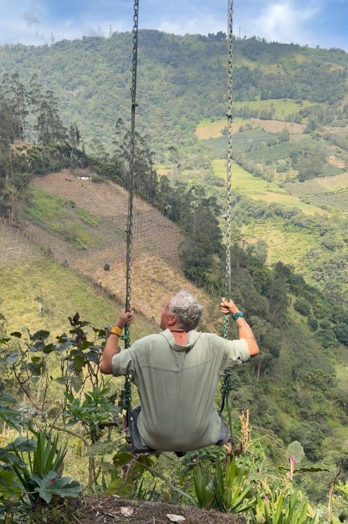 Person swinging over lush landscape