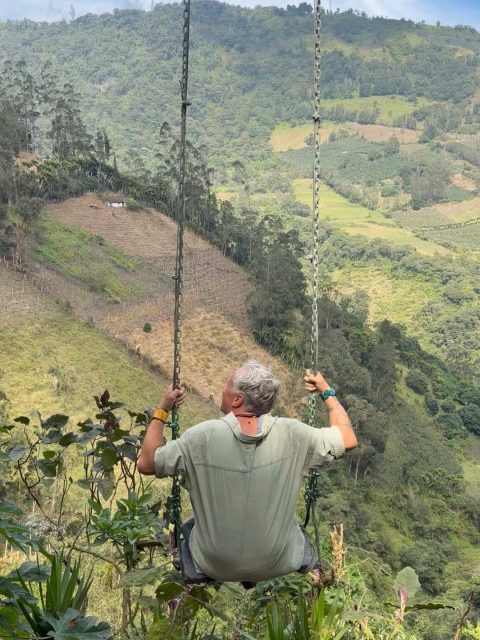 Person swinging over lush landscape